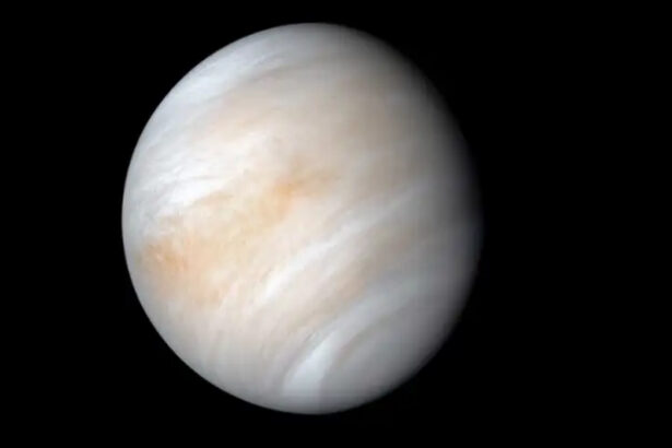 A Serious Threat May Be Lurking in The Orbit of Venus, Says Study : ScienceAlert