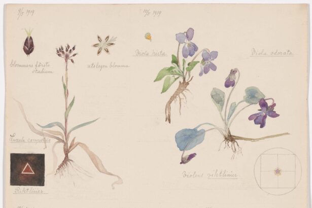 A Unique Portfolio of Hilma af Klint’s Botanical Drawings Communes with Nature’s Spiritual Side — Colossal