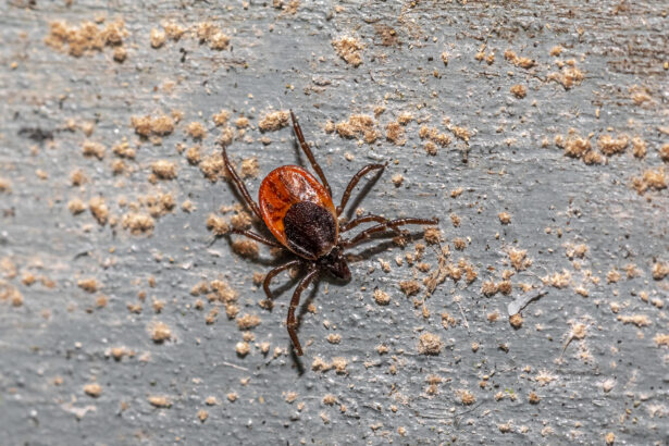 A malaria-like disease spread by ticks moves into Delaware, Maryland, and Virginia