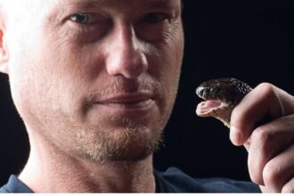 After 856 ‘Snake Bites’, Man’s Blood Could Unlock Universal Antivenom : ScienceAlert