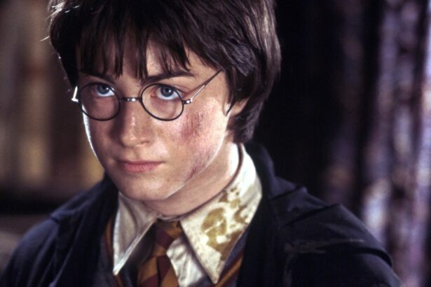 All the Characters in Hogwarts