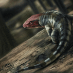 Amateur paleontologists uncover earliest known ‘reptile’ footprints