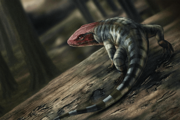 Amateur paleontologists uncover earliest known ‘reptile’ footprints