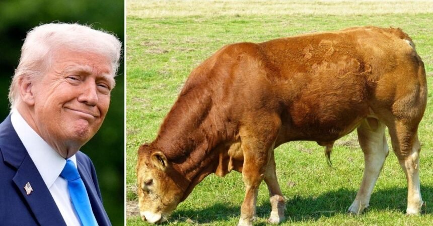 America’s ‘Beef Deal’ With U.K. Frightens British Shoppers