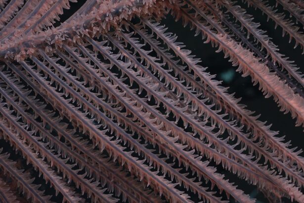 Among Newly Discovered Ocean Species, a Baby Colossal Squid Is Filmed for the First Time — Colossal