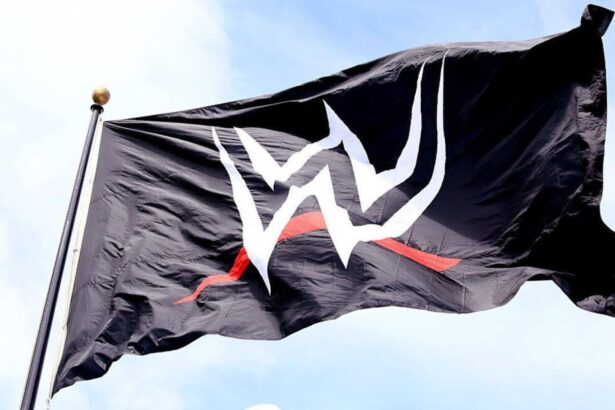 Another WWE star has been released