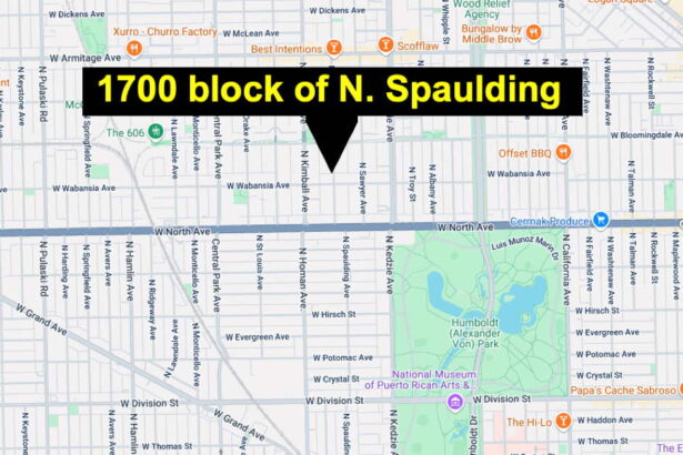 Argument ends with man fatally shot in Humboldt Park