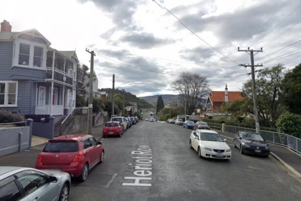 Armed police arrest man after standoff at Dunedin property