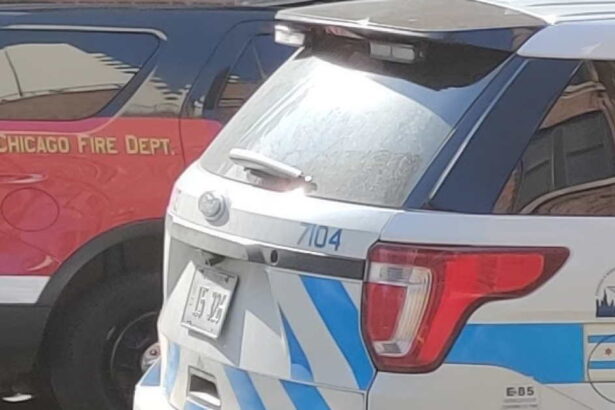 Arsonist is firebombing cannabis dispensaries, Chicago police warn