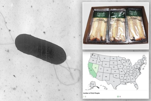 At least 10 people sickened in US listeria outbreak linked to prepared foods