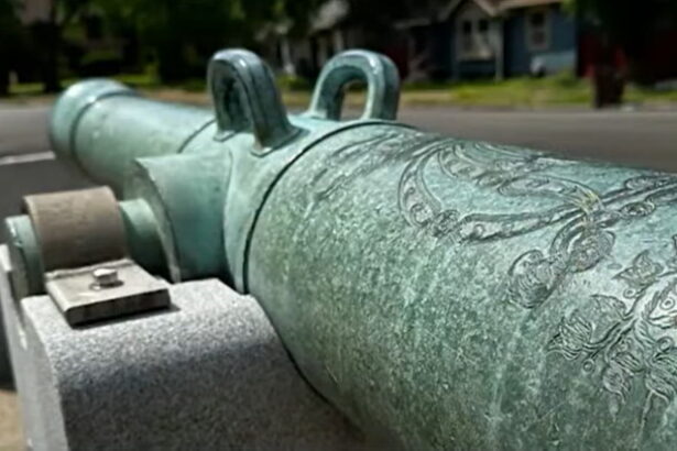 BIZARRE: Man Busted for Stealing Historic Cannon From Park to Pay Off His Drug Dealer |