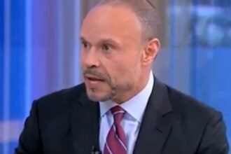 BOOM: Dan Bongino Announces Discovery of ENTIRE ROOM Full of Mishandled and Hidden Evidence from Comey’s FBI: “Wait ‘Til You Read This Stuff That’s Coming Out…You’re Going to Be Stunned” (VIDEO) |