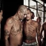 BREAKING: Three Virginia Dept. of Corrections Officers Stabbed in State Prison in Premeditated Attack Involving Five MS-13 Illegal Alien Gang Members |