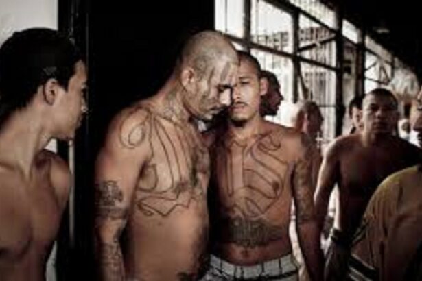 BREAKING: Three Virginia Dept. of Corrections Officers Stabbed in State Prison in Premeditated Attack Involving Five MS-13 Illegal Alien Gang Members |