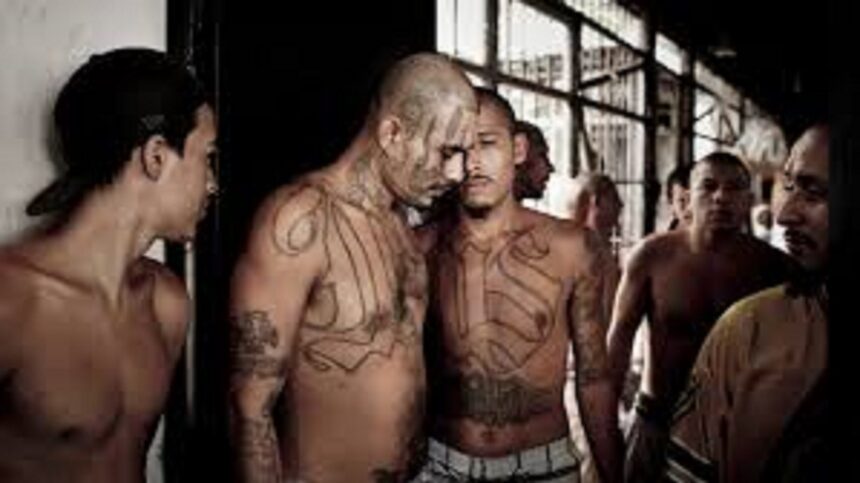 BREAKING: Three Virginia Dept. of Corrections Officers Stabbed in State Prison in Premeditated Attack Involving Five MS-13 Illegal Alien Gang Members |