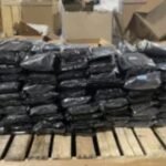 Baltimore CBP Officers Uncover 5K Marijuana Haul Hidden in Men’s Overalls Shipment |