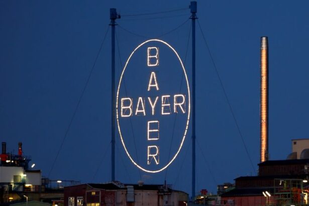 Bayer seeks Roundup settlement, explores Monsanto bankruptcy, WSJ reports