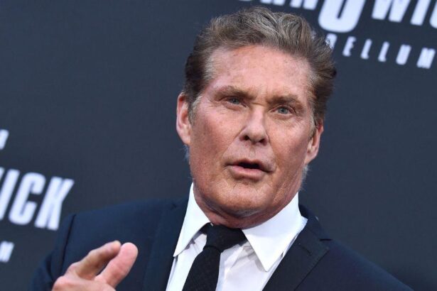 ‘Baywatch’ Star David Hasselhoff Is ‘Suffering and Using a Wheelchair’