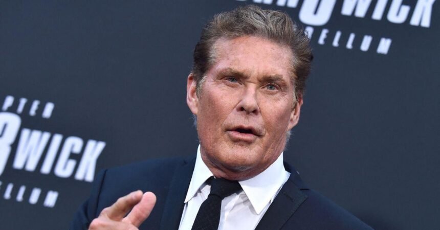 ‘Baywatch’ Star David Hasselhoff Is ‘Suffering and Using a Wheelchair’