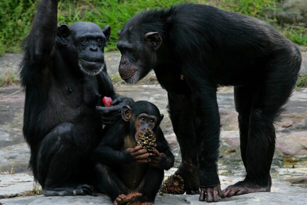 Being Curious Might Help Keep Alzheimer’s Disease At Bay: Study