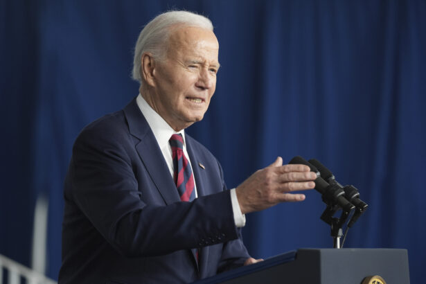 Biden takes responsibility for Trump's victory: 'I was in charge and he won'