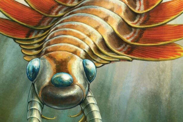 Bizarre Three-Eyed Predator Hunted The Ocean Half a Billion Years Ago : ScienceAlert