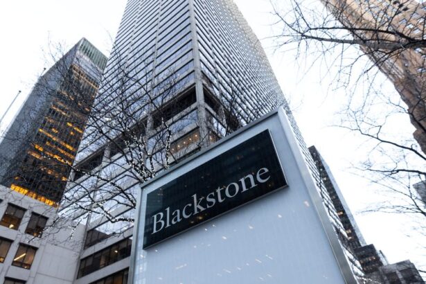Blackstone in talks to buy utility TXNM, source says