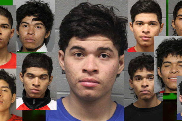 Bon voyage! Migrant arrested 16x in Chicago is finally scooped up by ICE