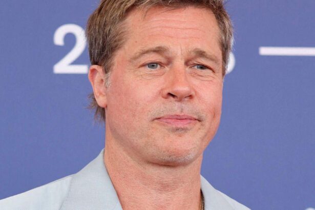 Brad Pitt Takes Savage Swipe At Divorce Battle With Ex Angelina Jolie