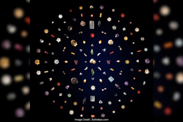 Buddha’s Sacred Jewels, Valued At Rs 107 Crore, To Be Auctioned In Hong Kong