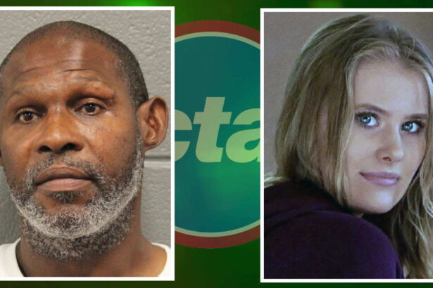 Bystanders apprehended killer who fatally stabbed woman outside CTA station: prosecutors