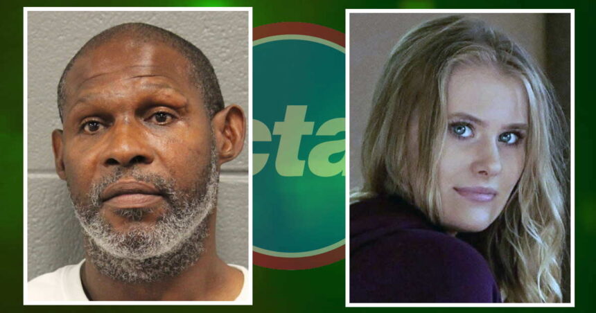 Bystanders apprehended killer who fatally stabbed woman outside CTA station: prosecutors