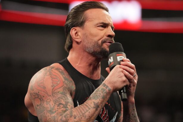 CM Punk sends three-word message to female WWE star
