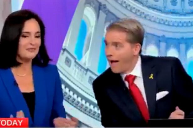 CNN’s Scott Jennings Gets Democrat to Admit NY Case Against Trump Was Just Part of the Organized ‘Resistance’ (VIDEO) |