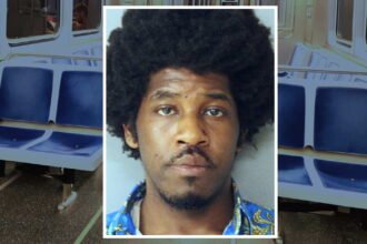 CTA passenger disarmed, beat man who threatened him with a gun, officials say