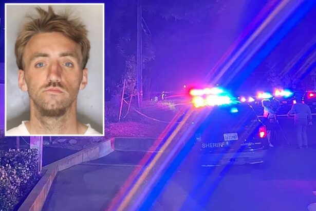 California man accused in recent murder was let out of jail on ‘mental health diversion’ six months ago