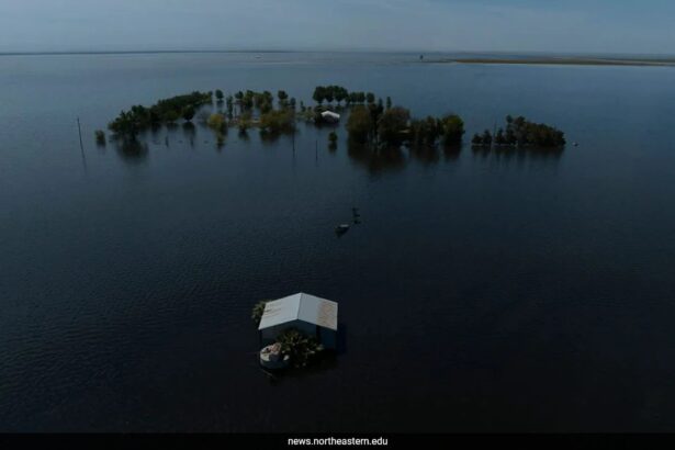 California’s ‘Ghost Lake’ Returns After 130 Years, Submerging 94,000 Acres Of Farmland