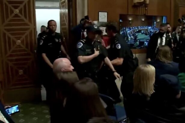 Capitol Police APPREHEND Unhinged Leftist Protesters Who Threatened RFK Jr. During Senate Hearing |
