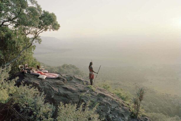 Captivating images expose a ‘staged version’ of nature