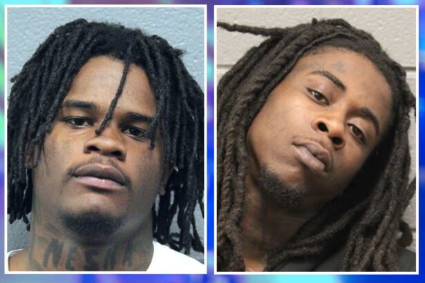 Carjackers crashed into anti-carjacking taskforce squad car: CPD report