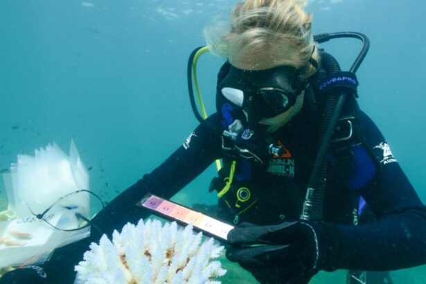 Cascading climate tipping points ‘likely’