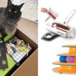 Cat Owner-Approved: 11 Amazon Pet Day Deals I Swear By