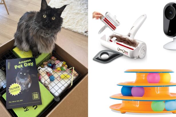 Cat Owner-Approved: 11 Amazon Pet Day Deals I Swear By