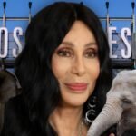 Cher Says L.A. Zoo Elephants Billy & Tina Have Done Their Time, Should Be Free