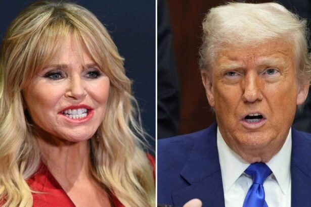Christie Brinkley Clashes With Trump After Slamming His Climate Stance