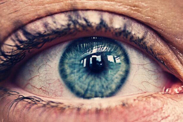 Climate Change Is Threatening Eye Health. Here’s Why. : ScienceAlert