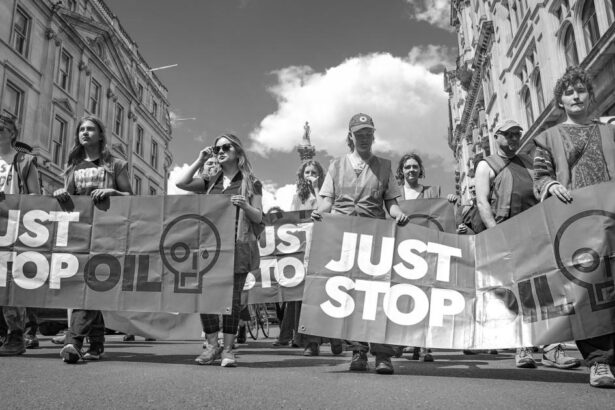 Climate activism needs ‘respect, service, trust’