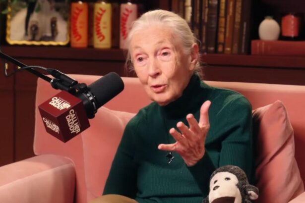 Conservationist Jane Goodall Reveals Horrific Sexism She Had to Endure