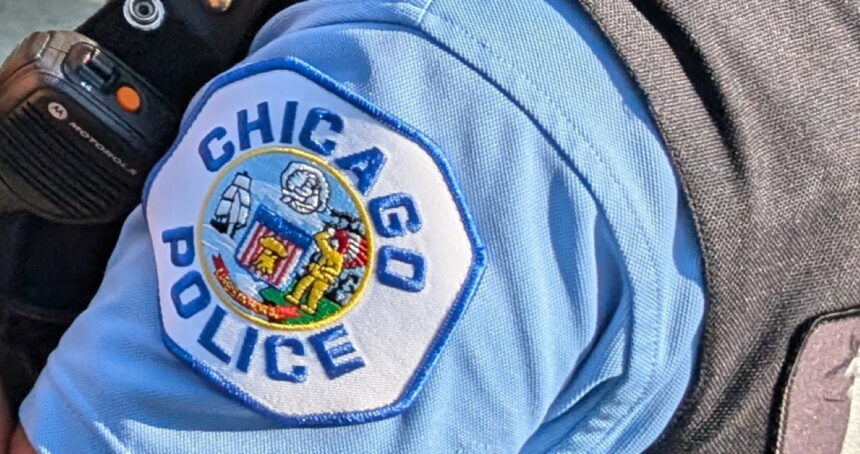 Cops snare 2 teenage robbers after woman is mugged near Goose Island