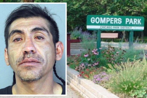 Crowd beats, robs community safety liaison in Gompers Park